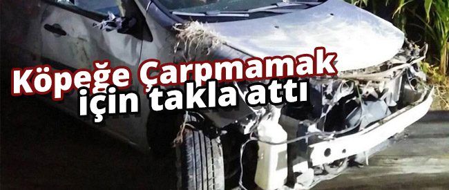 Köpeğe Çarpmamak için takla attı